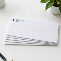 Envelopes 100 GSM